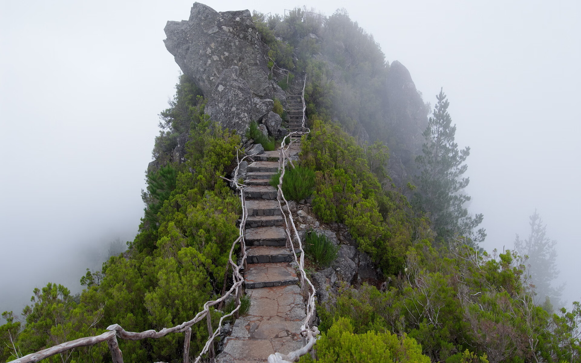 世界登山青年生态志愿行总结：环保教育成果显现，青少年登山活动
