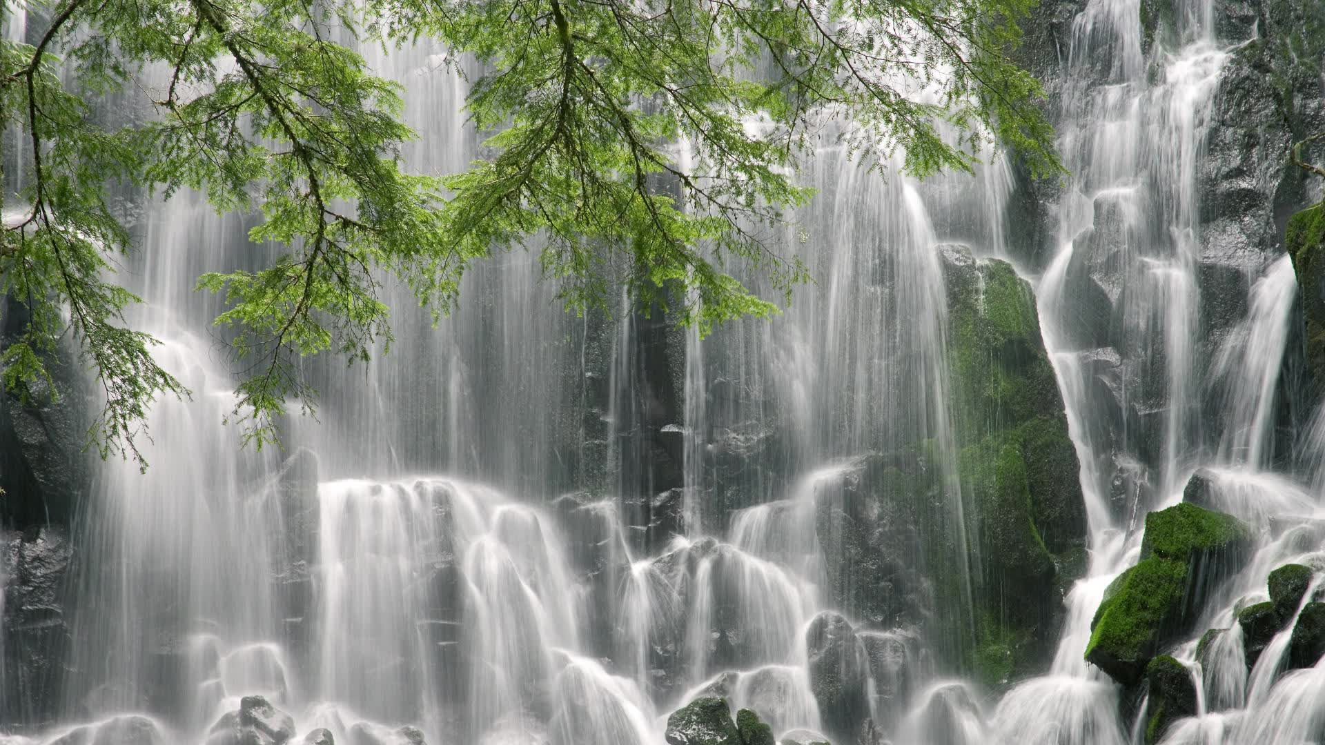 世界短跑社区导师制扩大：基层教练获系统培训，世界短跑选手排名